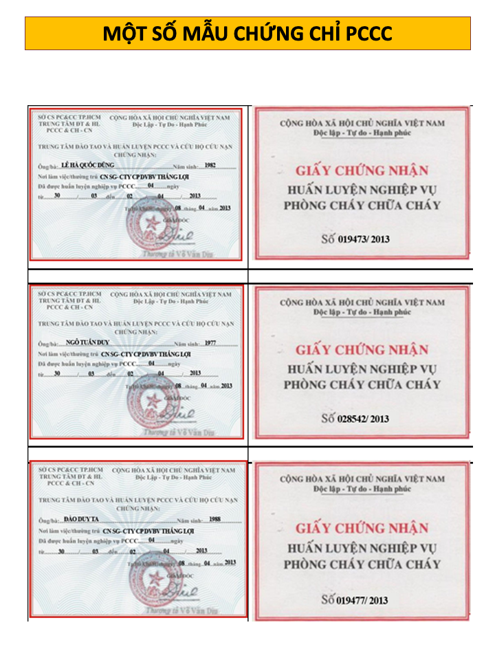 Hồ sơ năng lực Bảo vệ Thắng Lợi - Trang 8